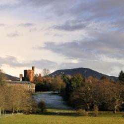 Ruthin 40 holiday homes