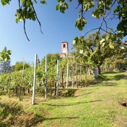 Gattinara 5 holiday rentals
