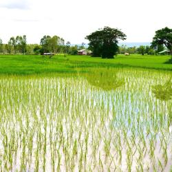 Ban Phang Khwang Tai 3 hotéis