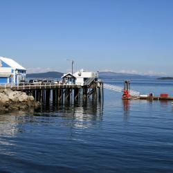 Sidney 9 beach rentals