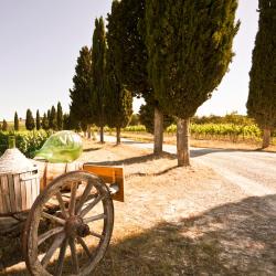 Barberino di Val dʼElsa 17 farm stays