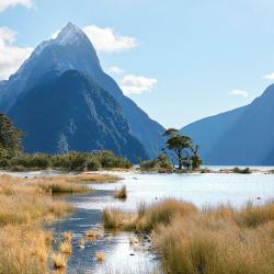 Milford Sound 2 hotels