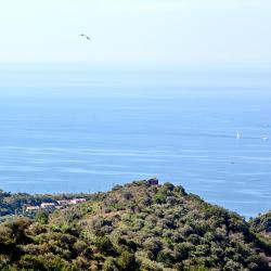 Pollica 7 B&Bs