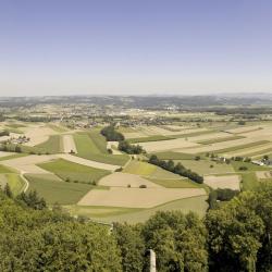 Eferding 3 pet-friendly hotels