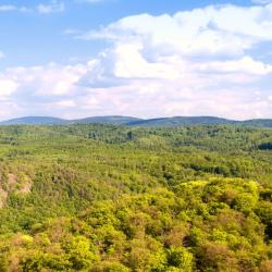 Frauenwald 15 resorts de esqu&iacute;