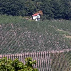 Ralingen 6 of the holiday rentals
