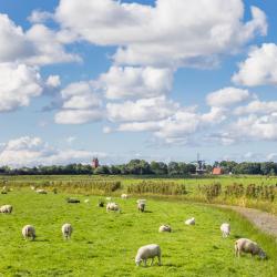 Garnwerd 6 acomoda&ccedil;&otilde;es