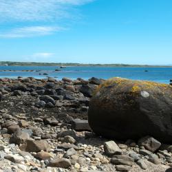 Rathmullan 10 hotels que accepten animals