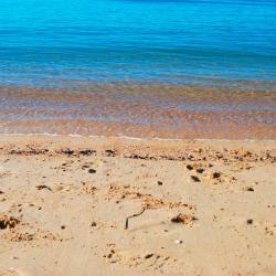 Whangaparaoa 9 of the holiday rentals