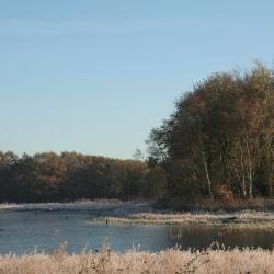 Whitchurch 5 hotels with parking