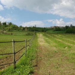 Stradella 3 cheap hotels