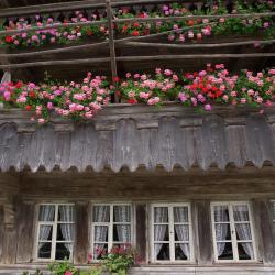 Goldswil 6 vacation rentals