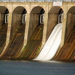 Muscle Shoals 3 hotels