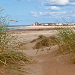 Redcar 54 hotelů pro pobyt s domácími mazlíčky