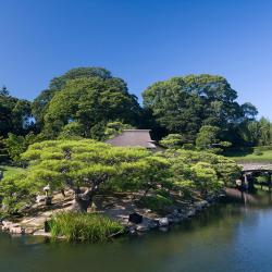 Okayama 156 hotels
