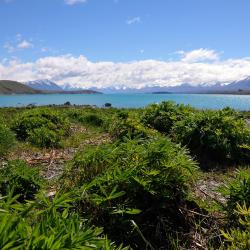 Lake Tekapo 7 guest houses