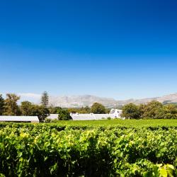 คอนสแตนเทีย 8 โรงแรมที่มีที่จอดรถ