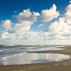 Zielenogradsk 6 opcji zakwaterowania