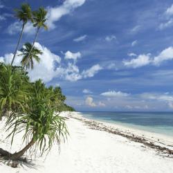 Siquijor 5 glamping sites