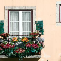 Amadora 26 holiday rentals