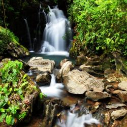Cachoeira Paulista 204 hotels