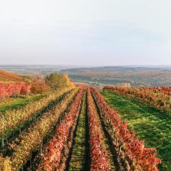 Eisenberg an der Pinka 24 hotéis