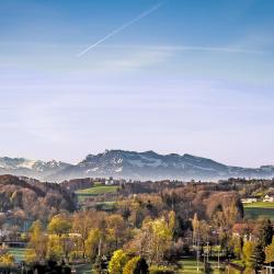 Menziken 반려동물 동반 가능 호텔 4개