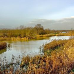 Stanwick 3 hotels with parking