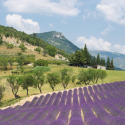 Chabeuil 22 hotels