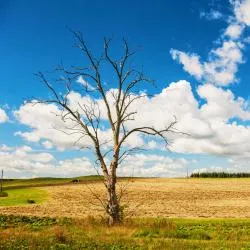 Staffanstorp 14 szálloda