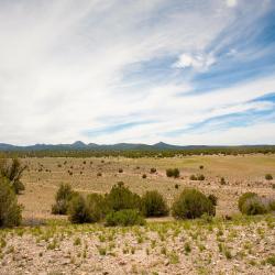 Chino Valley 4 hotela