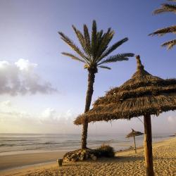 Mellita 7 hotels