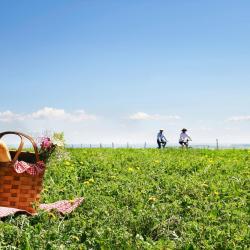 Lüdersburg 7 pet-friendly hotels