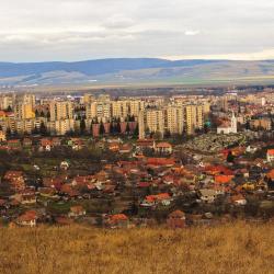 Sfântu Gheorghe 12 guest houses