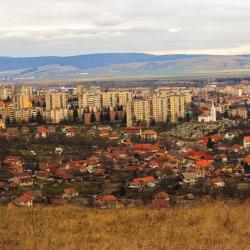 Sfântu Gheorghe 16 guest houses