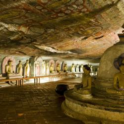 Dambulla 8 chaleter