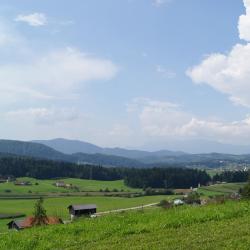 Žalec Počitniške nastanitve (5)