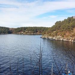 Høvåg 4 hotels