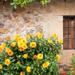 Laguna de Cameros 4 cabanes i cottages