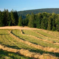 Lustin 3 bed and breakfast-steder