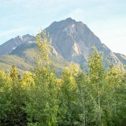 New Hazelton 1 hotel