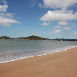 Cable Bay 31 hotels