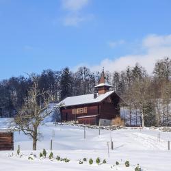 Brienzwiler 6 vacation rentals