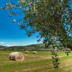 Parona di Valpolicella 6 hotel