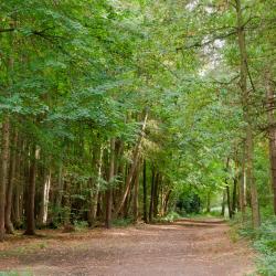 Crowthorne 5 hotelů
