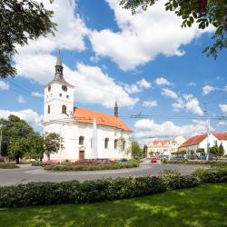 Lázně Bohdaneč 4 hotels