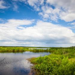 Rincon 1 готель