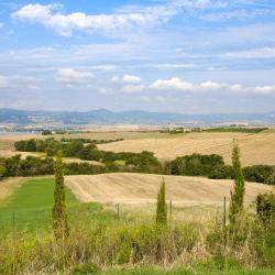 Agave in Citt, Livorno (updated prices 2026)