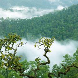 Pang Mapha 10 hotéis