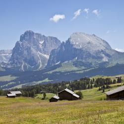 Santa Cristina in Val Gardena 113 hotéis